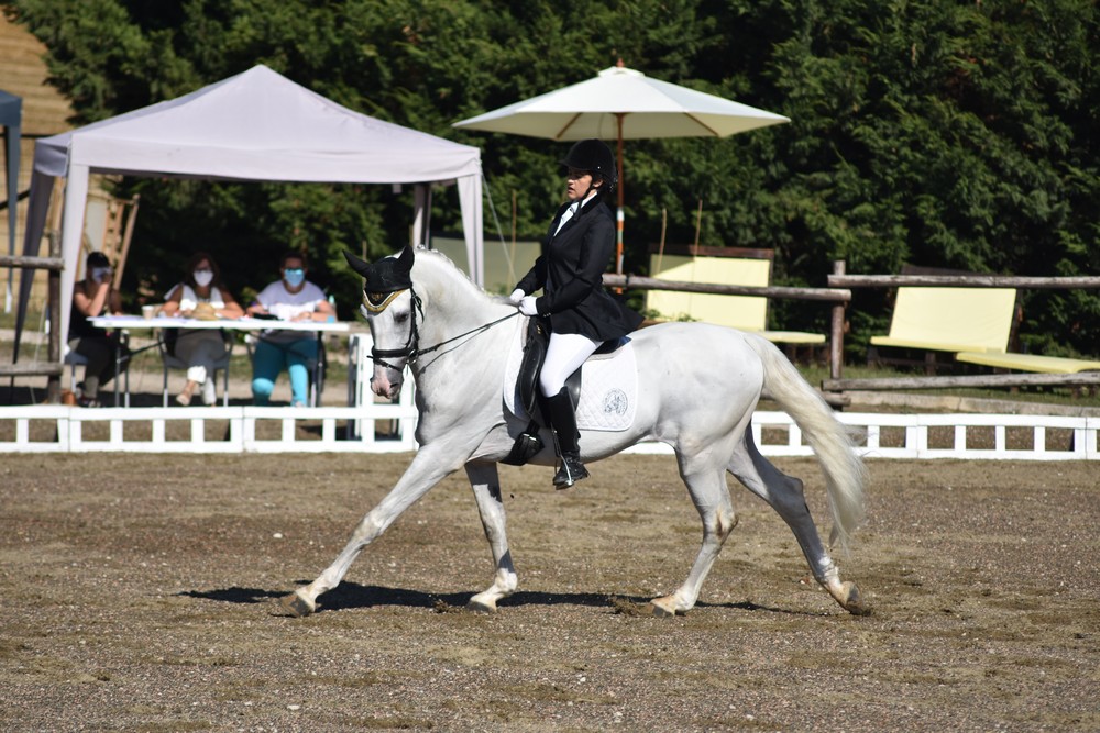 Un sol de justicia acompaña el inicio del Campeonato Navarro de Doma Clásica y Adaptada